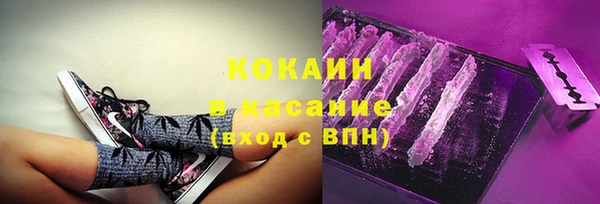 твердый Михайловск