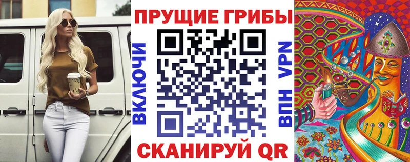 хочу   MEGA   Псилоцибиновые грибы MAGIC MUSHROOMS  Кубинка 