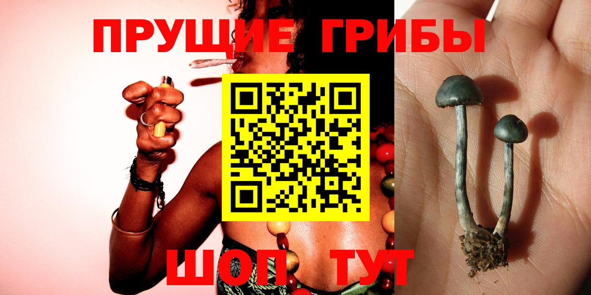 наркошоп  Псилоцибиновые грибы мухоморы  Вход с VPN  Кубинка 