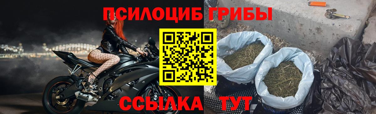 Псилоцибиновые грибы прущие грибы Кубинка