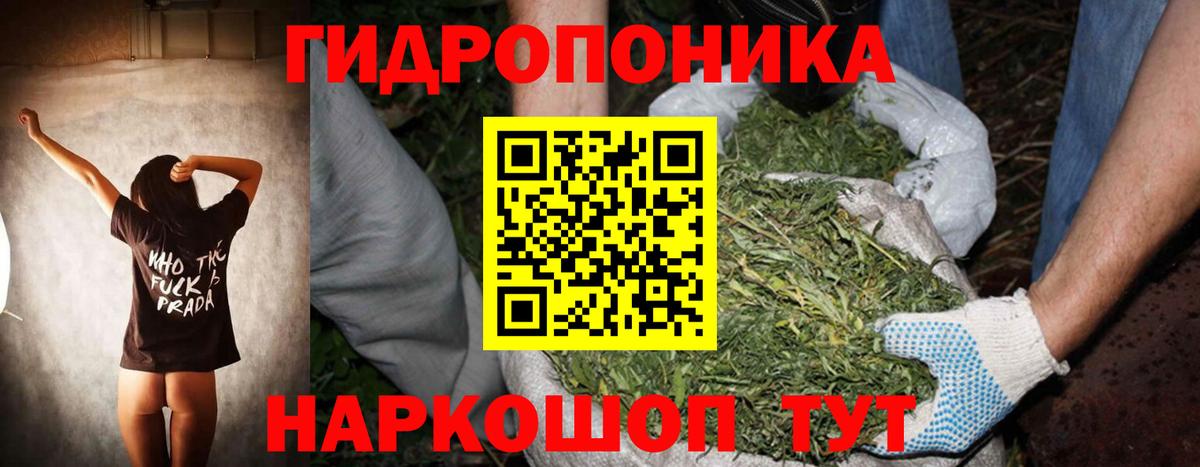 Бошки Шишки гибрид Кубинка